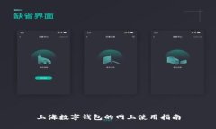 上海数字钱包的网上使用指南