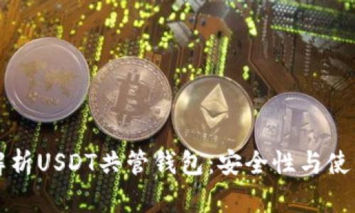 全面解析USDT共管钱包:安全性与使用指南