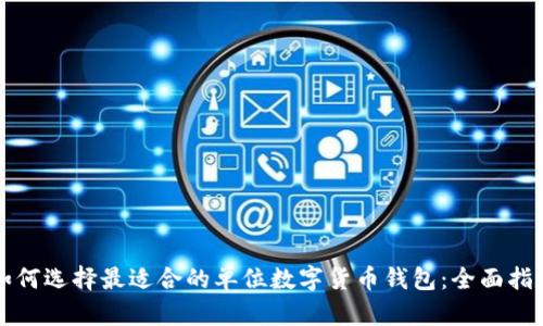 如何选择最适合的单位数字货币钱包:全面指南