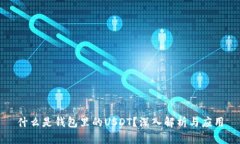什么是钱包里的USDT？深入解析与应用