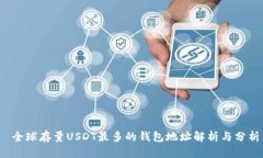  全球存量USDT最多的钱包地址解析与分