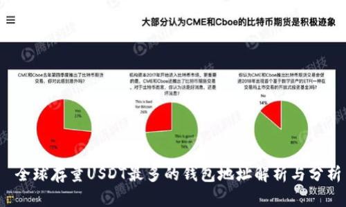 全球存量USDT最多的钱包地址解析与分析