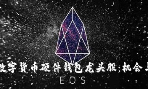 如何投资数字货币硬件钱包龙头股:机会与风险分析