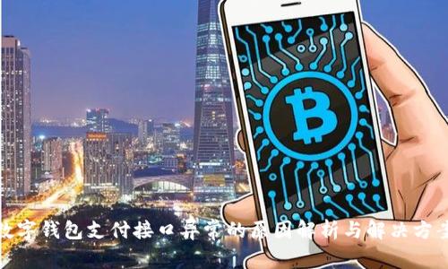 数字钱包支付接口异常的原因解析与解决方案
