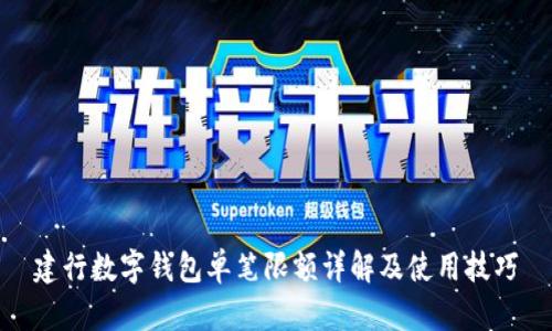 建行数字钱包单笔限额详解及使用技巧