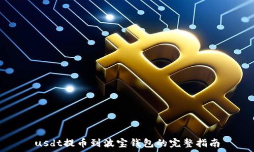 usdt提币到波宝钱包的完整指南