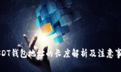 USDT钱包地址的长度解析及注意事项