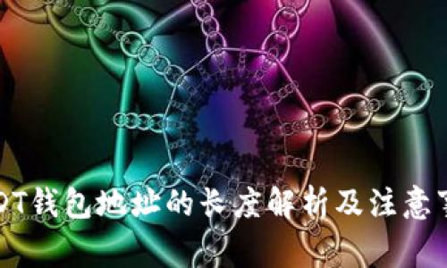 USDT钱包地址的长度解析及注意事项