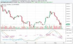 加密钱包总用户数：2023年现状与未来