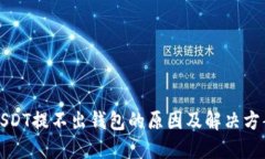USDT提不出钱包的原因及解决方案
