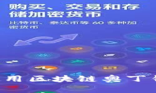 如何下载和使用区块链奥丁钱包:新手指南