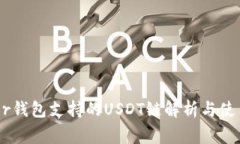 Ledger钱包支持的USDT链解析与使用指南