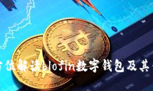 全方位解读blofin数字钱包及其优势