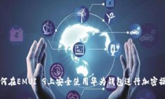 如何在EMUI 9上安全使用华为钱包进行加