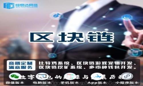 数字钱包的起源与发展历程