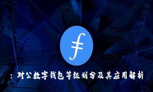 : 对公数字钱包等级划分及其应用解析