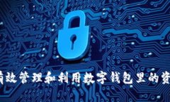 如何有效管理和利用数字钱包里的资金