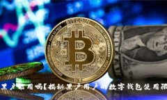 数字钱包黑户能用吗？揭秘黑户用户的