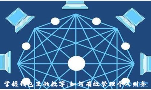 掌握钱包里的数字:如何有效管理个人财务