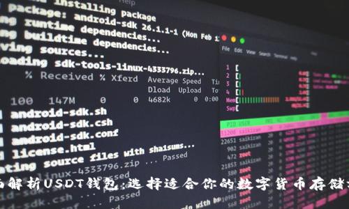 全面解析USDT钱包:选择适合你的数字货币存储方案