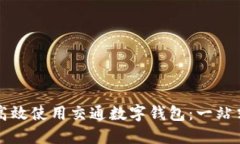 如何高效使用交通数字钱包：一站式指