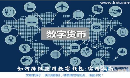 如何降级使用数字钱包:实用指南