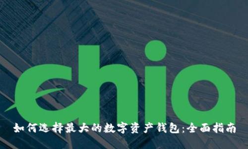 如何选择最大的数字资产钱包:全面指南