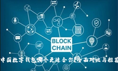 中国数字钱包哪个更适合你?全面对比与推荐