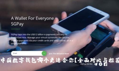 中国数字钱包哪个更适合你?全面对比与推荐