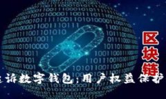 如何起诉数字钱包：用户权益保护全指