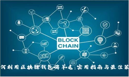 如何利用区块链钱包薅羊毛:实用指南与最佳策略