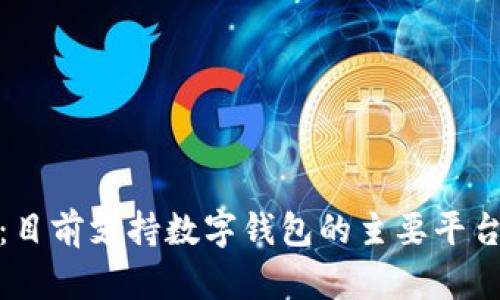 全面解析:目前支持数字钱包的主要平台及其优势