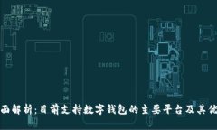 全面解析：目前支持数字钱包的主要平