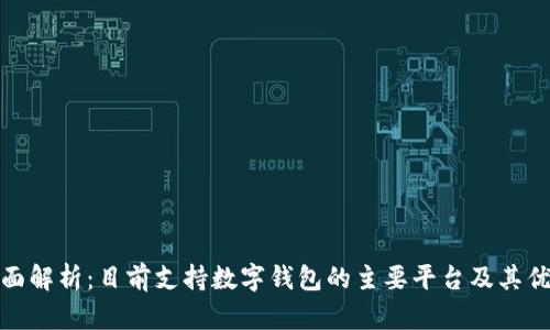 全面解析:目前支持数字钱包的主要平台及其优势