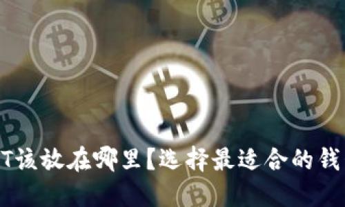 : USDT该放在哪里?选择最适合的钱包指南