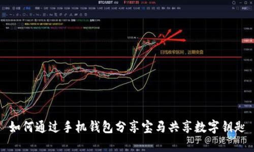 如何通过手机钱包分享宝马共享数字钥匙
