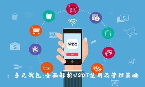 : 多元钱包:全面解析USDT使用及管理策略