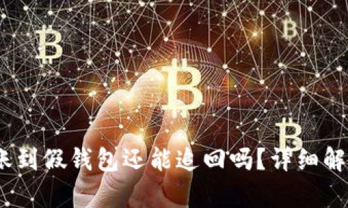 USDT转账到假钱包还能追回吗?详细解析及对策