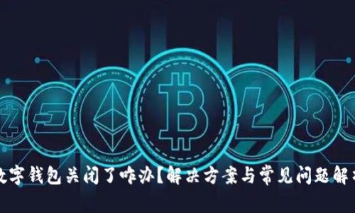 数字钱包关闭了咋办?解决方案与常见问题解析