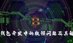 区块链钱包开发中的瓶颈问题及其解决