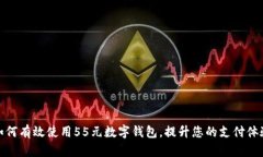 如何有效使用55元数字钱包，提升您的