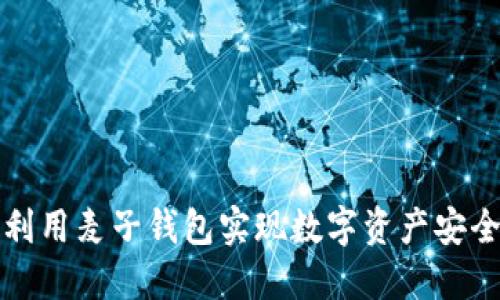 如何利用麦子钱包实现数字资产安全托管