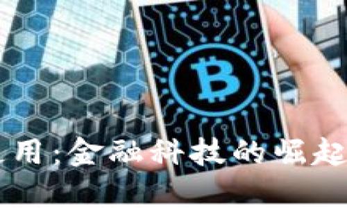 未来数字钱包的使用:金融科技的崛起与生活方式的变革
