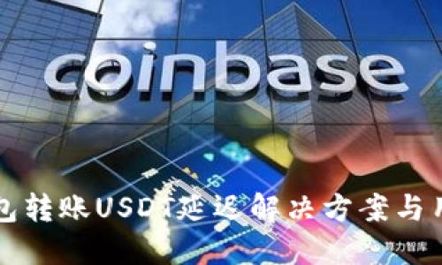 火币钱包转账USDT延迟解决方案与用户指南