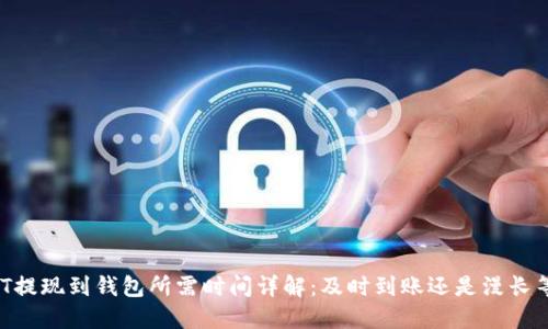 USDT提现到钱包所需时间详解:及时到账还是漫长等待?