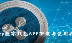 dcep数字钱包APP下载与使用指南