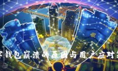 数字钱包崩溃的原因与用户应对策略