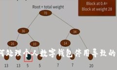 : 如何处理个人数字钱包停用导致的问