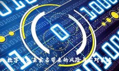 数字钱包未实名带来的风险与应对策略