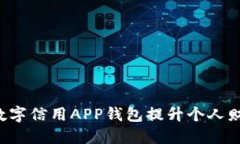  如何利用数字信用APP钱包提升个人财务管理能力